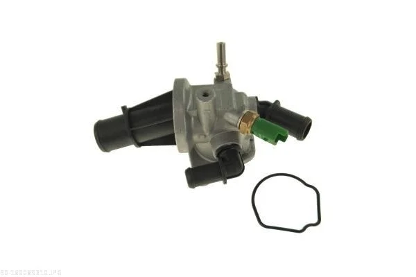 Pouzdro termostatu AUTOMEGA 160089310