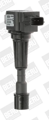 Zapalovací cívka BorgWarner ZS489