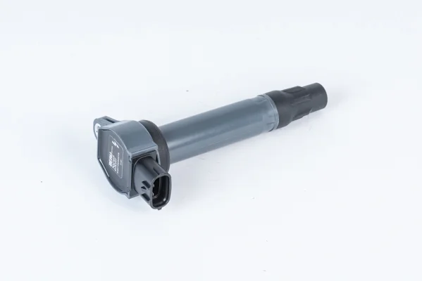 Zapalovací cívka BorgWarner ZSE207