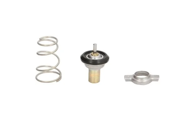 Termostat, chladivo THERMOTEC D2F002TT