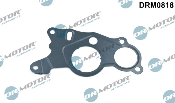Těsnění, vakuové čerpadlo Dr.Motor Automotive DRM0818