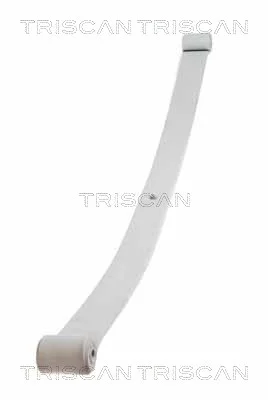 Paket pružin TRISCAN 876510004
