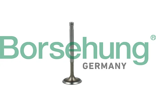 Sací ventil Borsehung B19019 Sací ventil Borsehung B19019