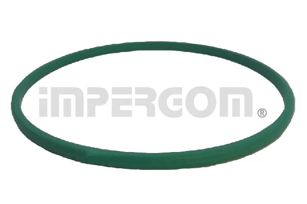 Těsnění, palivové čerpadlo ORIGINAL IMPERIUM 25645 – OE 46523406
