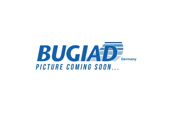 Hadička plnicího vzduchu BUGIAD 82468